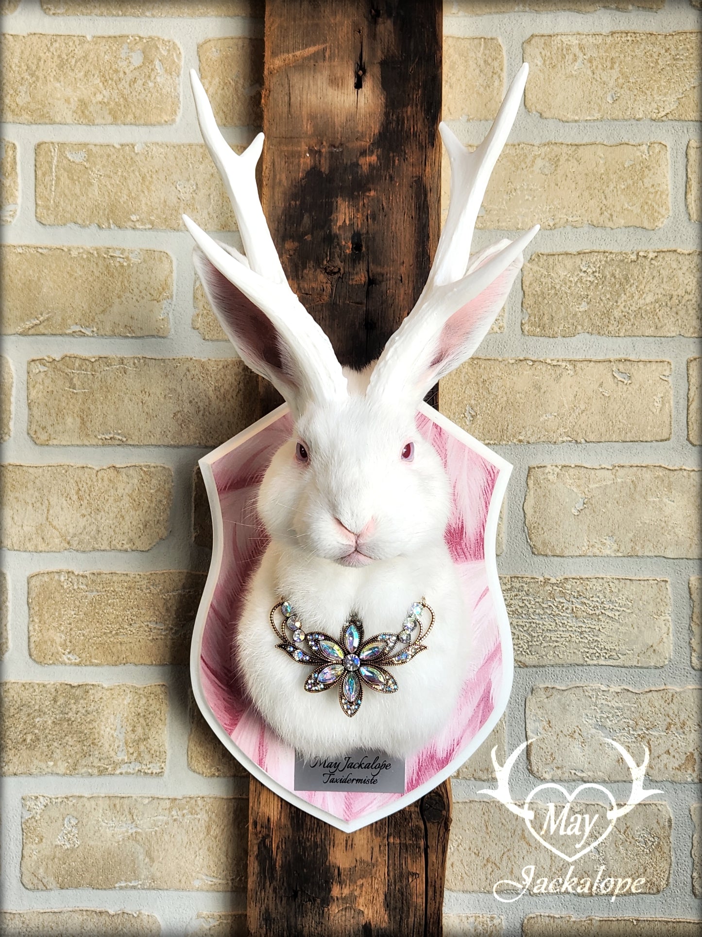 White Jackalope taxidermy with pink albino eyes, white antlers replica & neclace