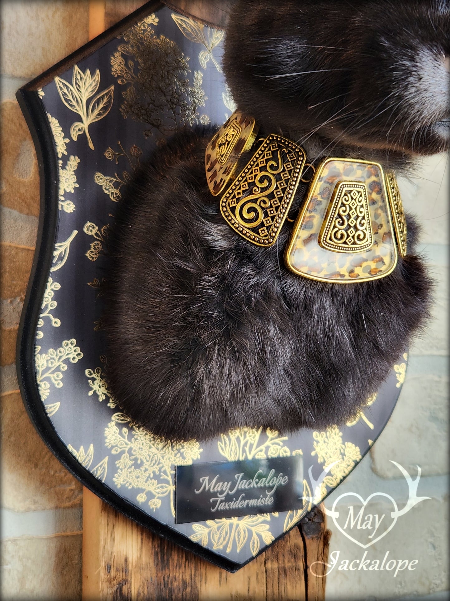 Black Jackalope taxidermy with heterochromia eyes, real antlers & golden necklace