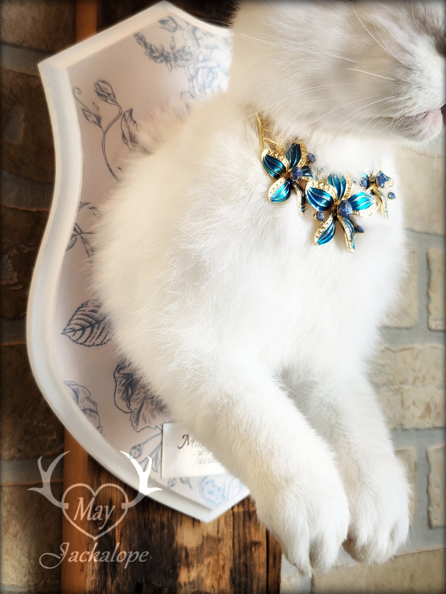 White Jackalope taxidermy with blue eyes, real natural bleached antlers & blue necklace