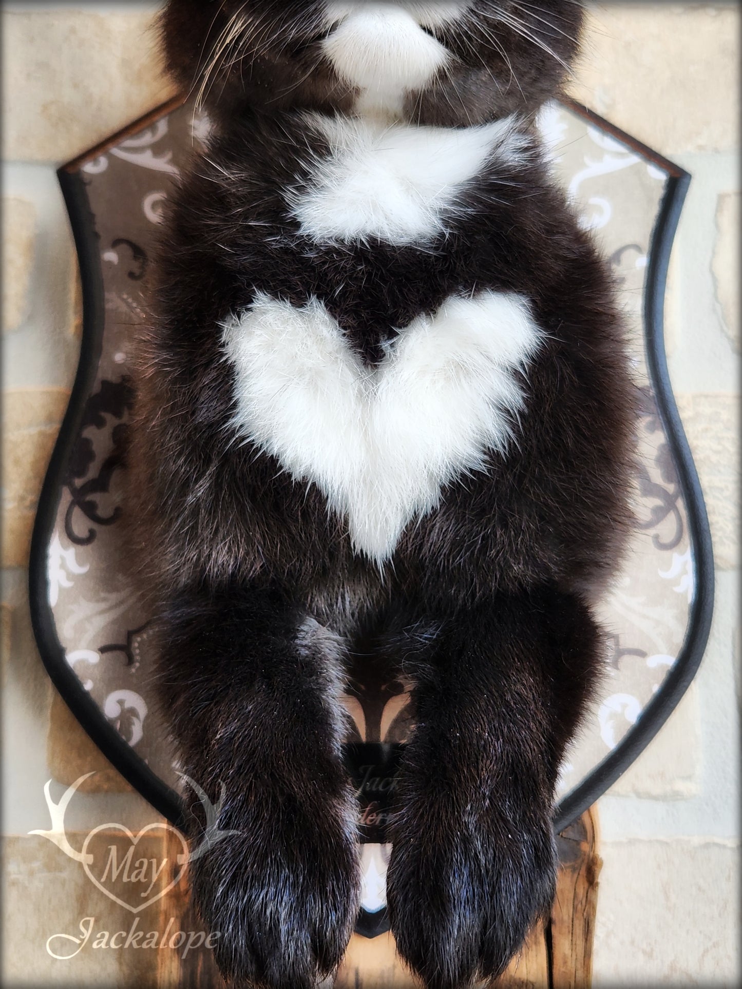 Black & white Jackalope taxidermy with hazel eyes, white heart on the belly & long real antlers