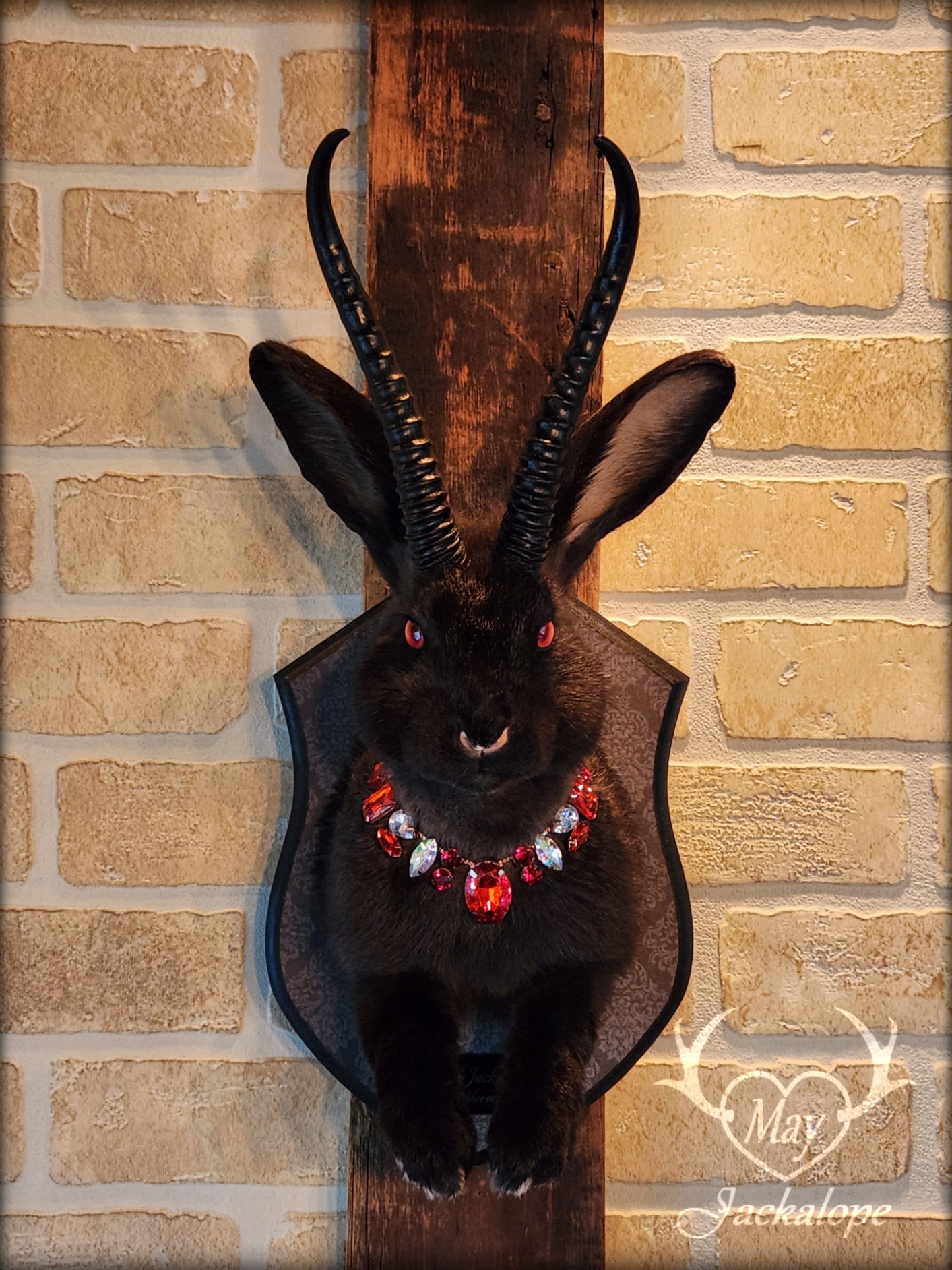 Black Jackalope taxidermy with red eyes, black horns replica & a necklace