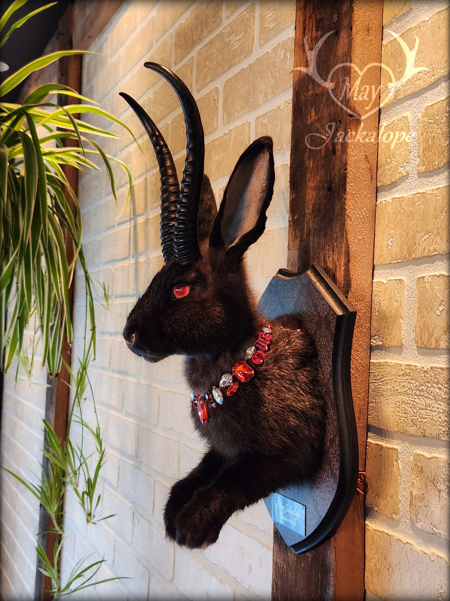 Black Jackalope taxidermy with red eyes, black horns replica & a necklace