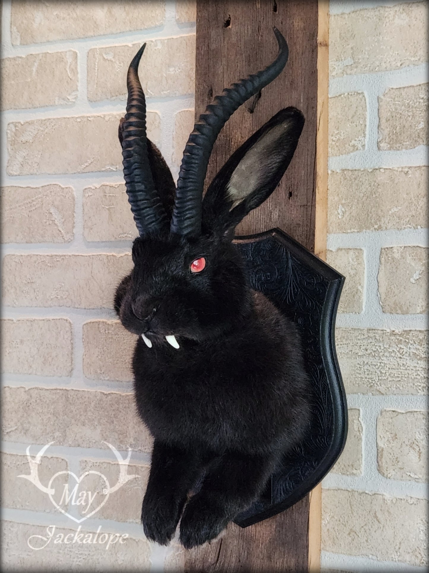 Black Jackalope taxidermy with red eyes, fangs & black horns replica