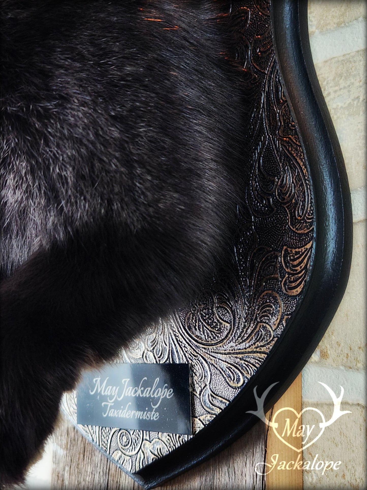 Black Jackalope taxidermy with hazel eyes, real antlers, necklace & on a decorated plaque