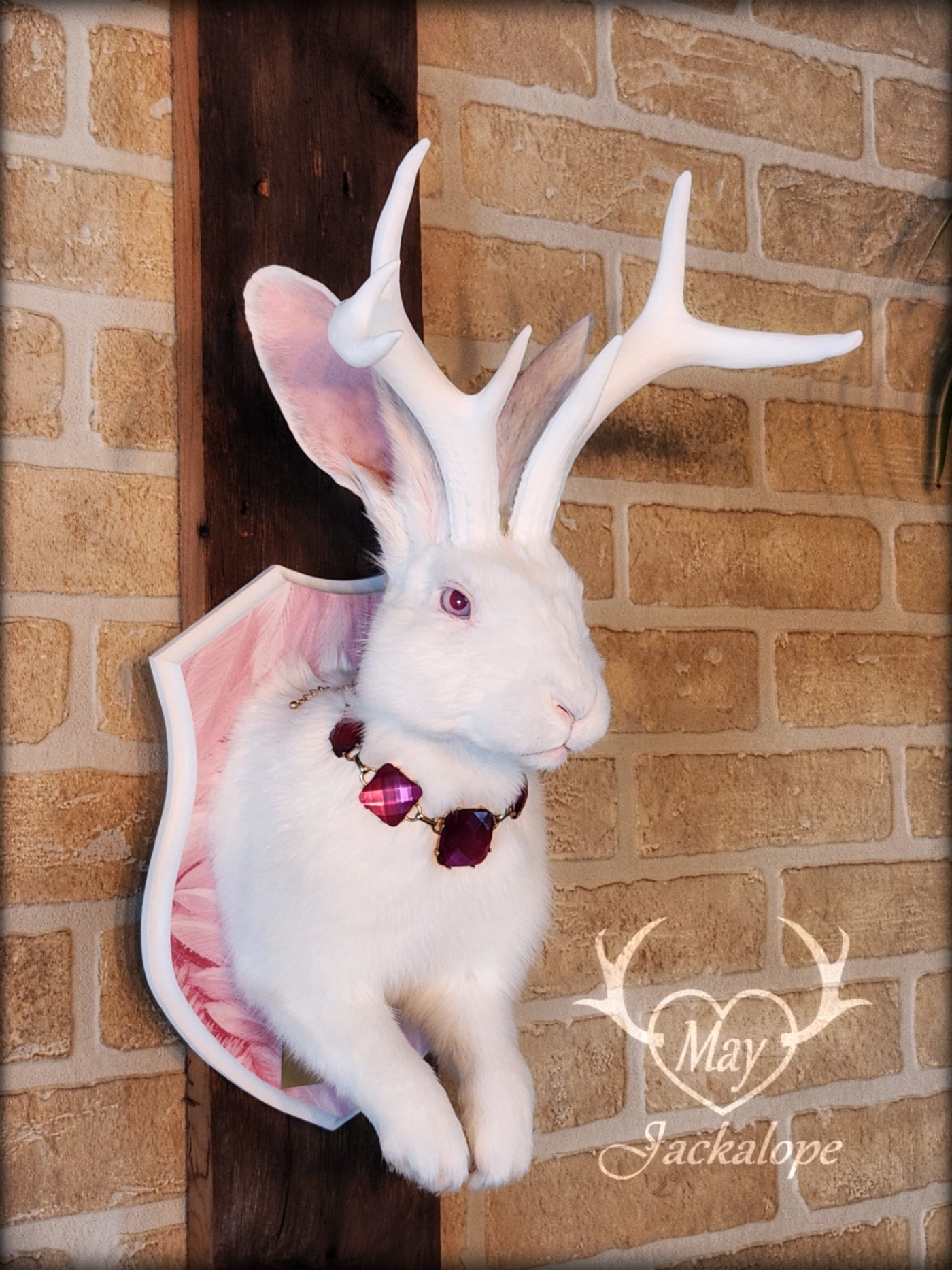 White Jackalope taxidermy with albino eyes, big white antlers replica & a necklace