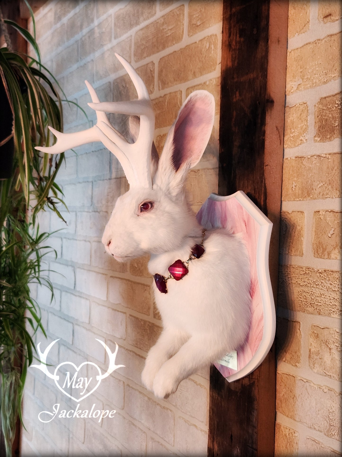 White Jackalope taxidermy with albino eyes, big white antlers replica & a necklace