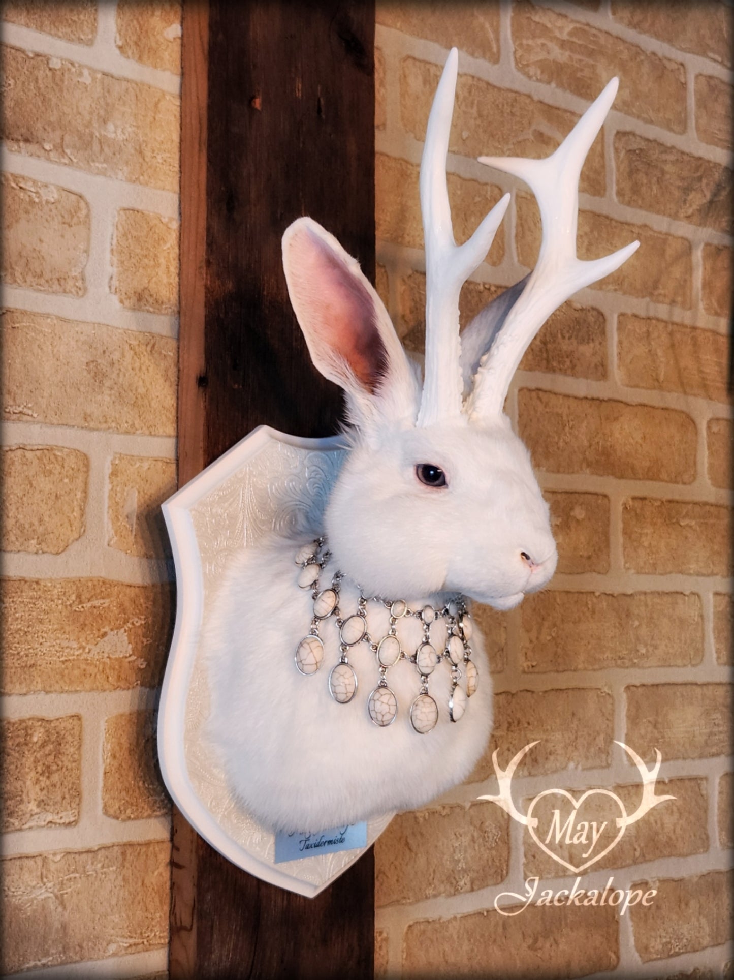 White Jackalope taxidermy with grey eyes, white antlers replica & a necklace