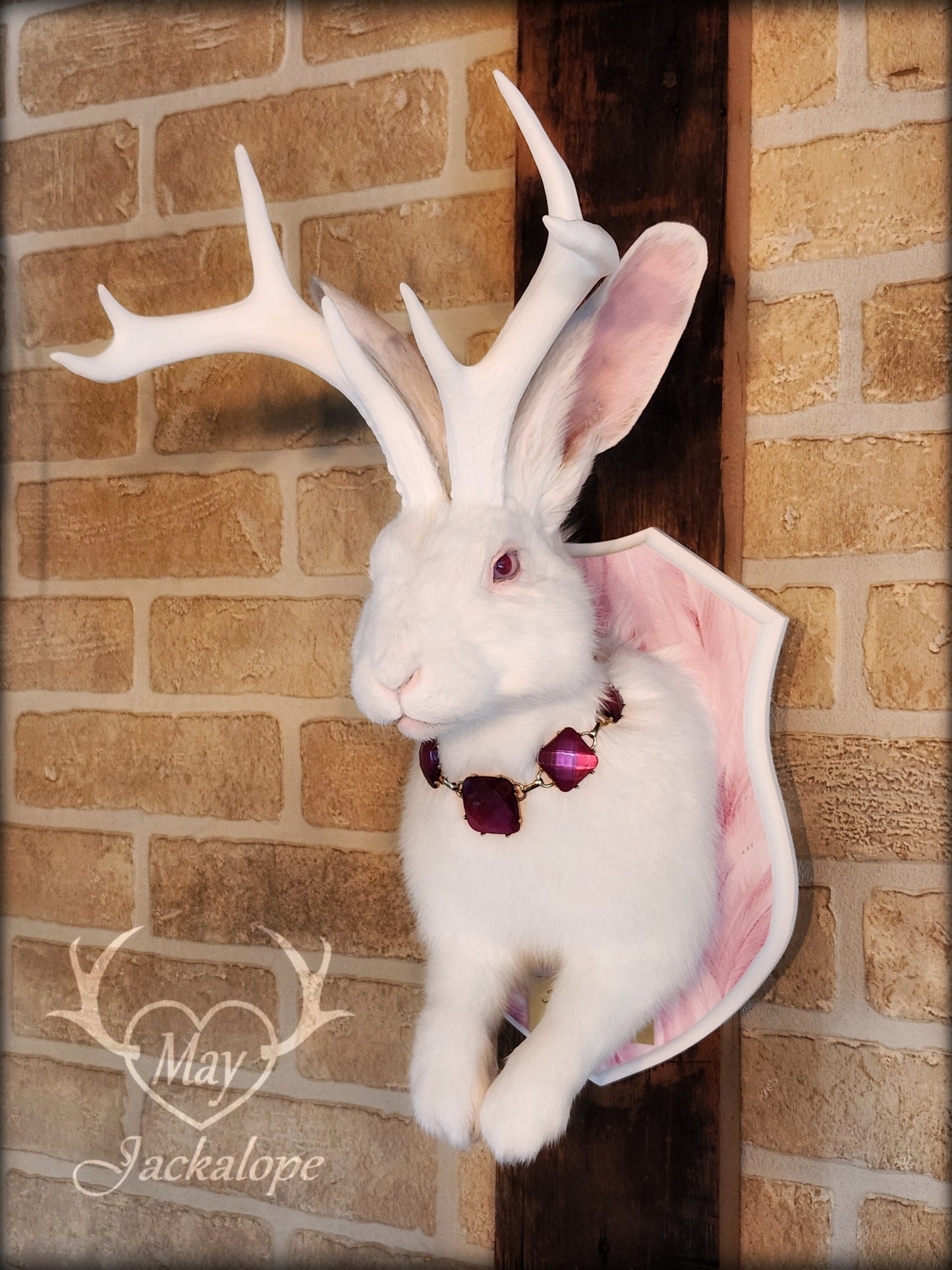 Taxidermie de Jackalope blanc aux yeux albinos, réplique depanache blancs avec un collier