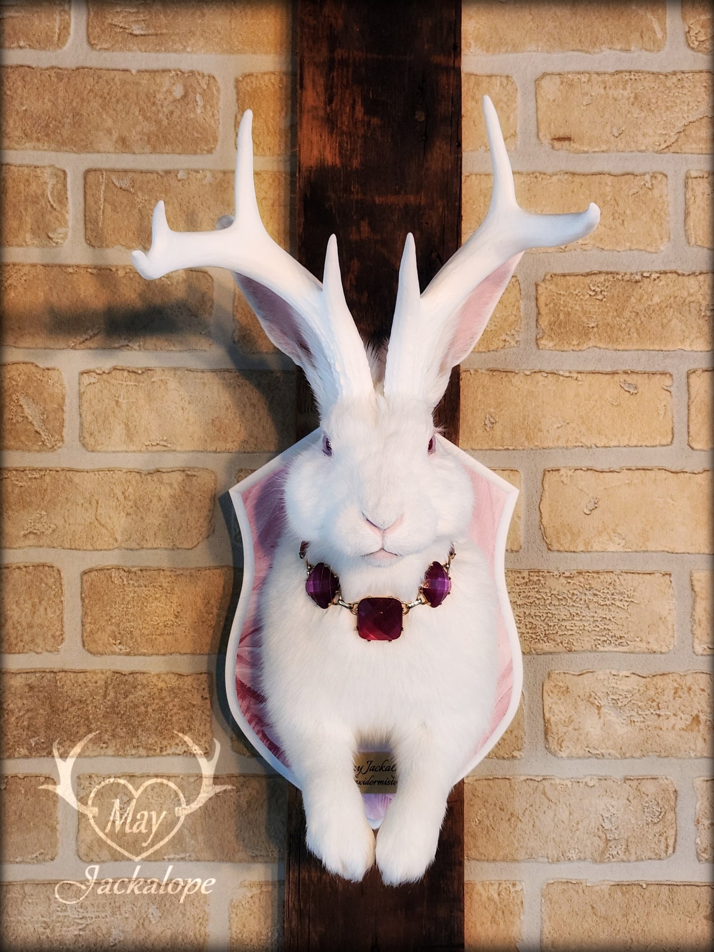 White Jackalope taxidermy with albino eyes, big white antlers replica & a necklace