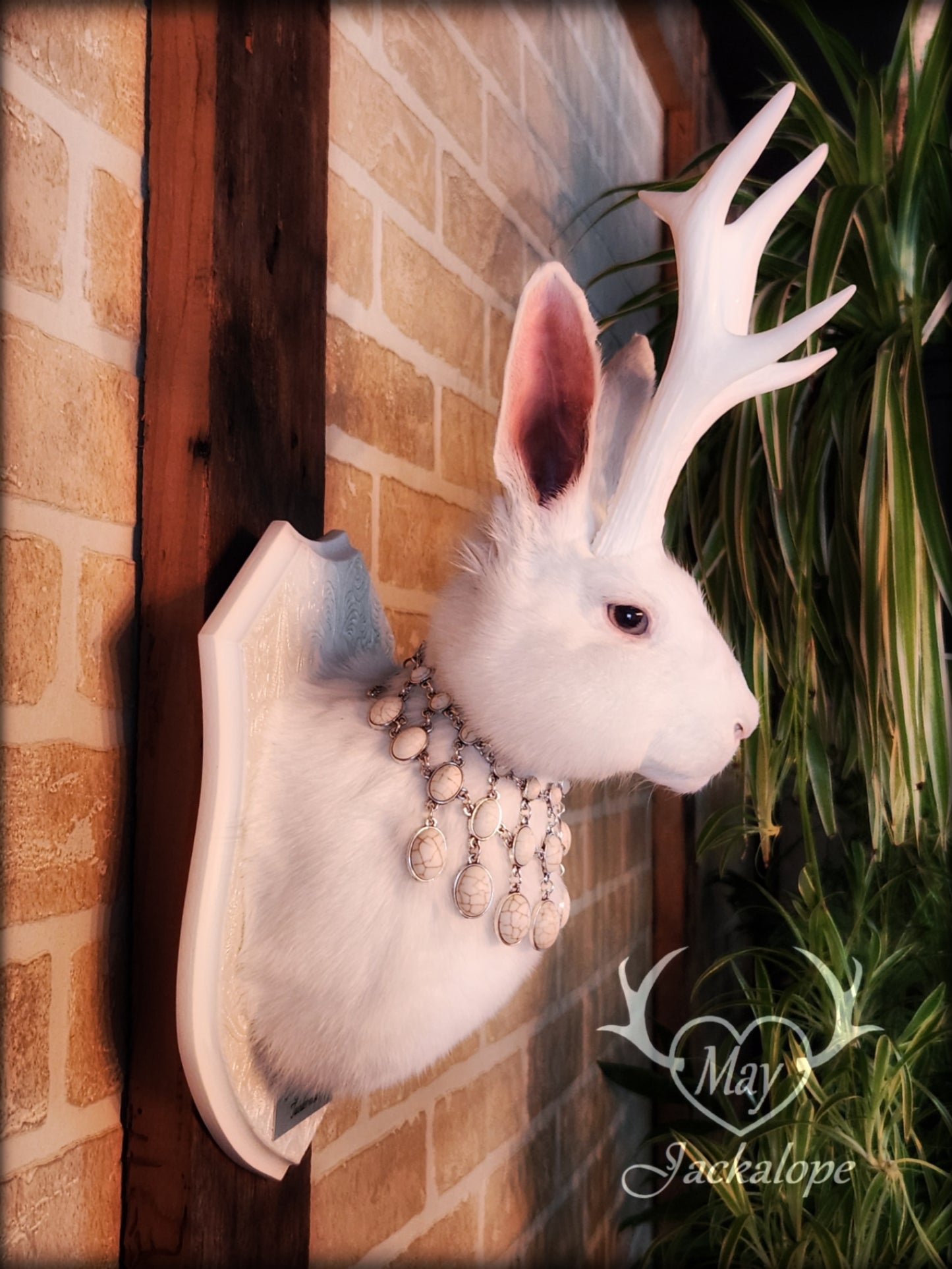 White Jackalope taxidermy with grey eyes, white antlers replica & a necklace