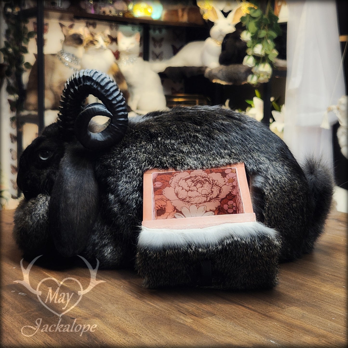 Black jackalope taxidermy, loaf position, with a secret drawer