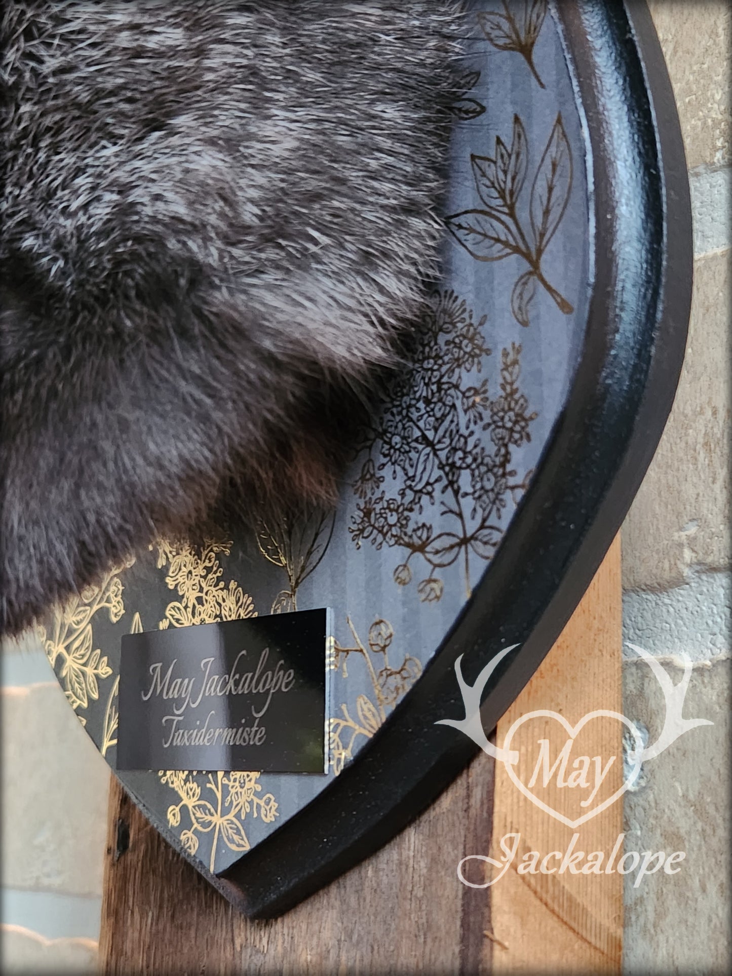 Taxidermie de Jackalope noir avec yeux gris, réplique de panache noir avec un collier