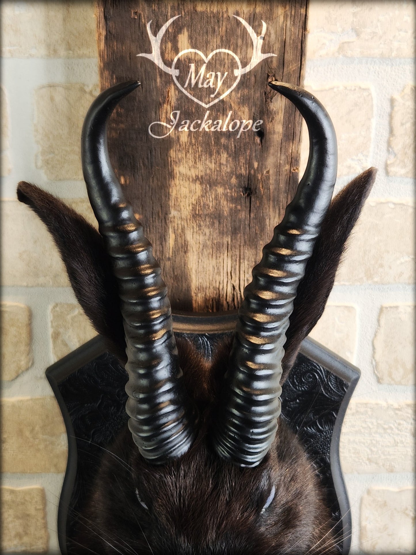 Black Jackalope taxidermy with light blue eyes and horns replica.