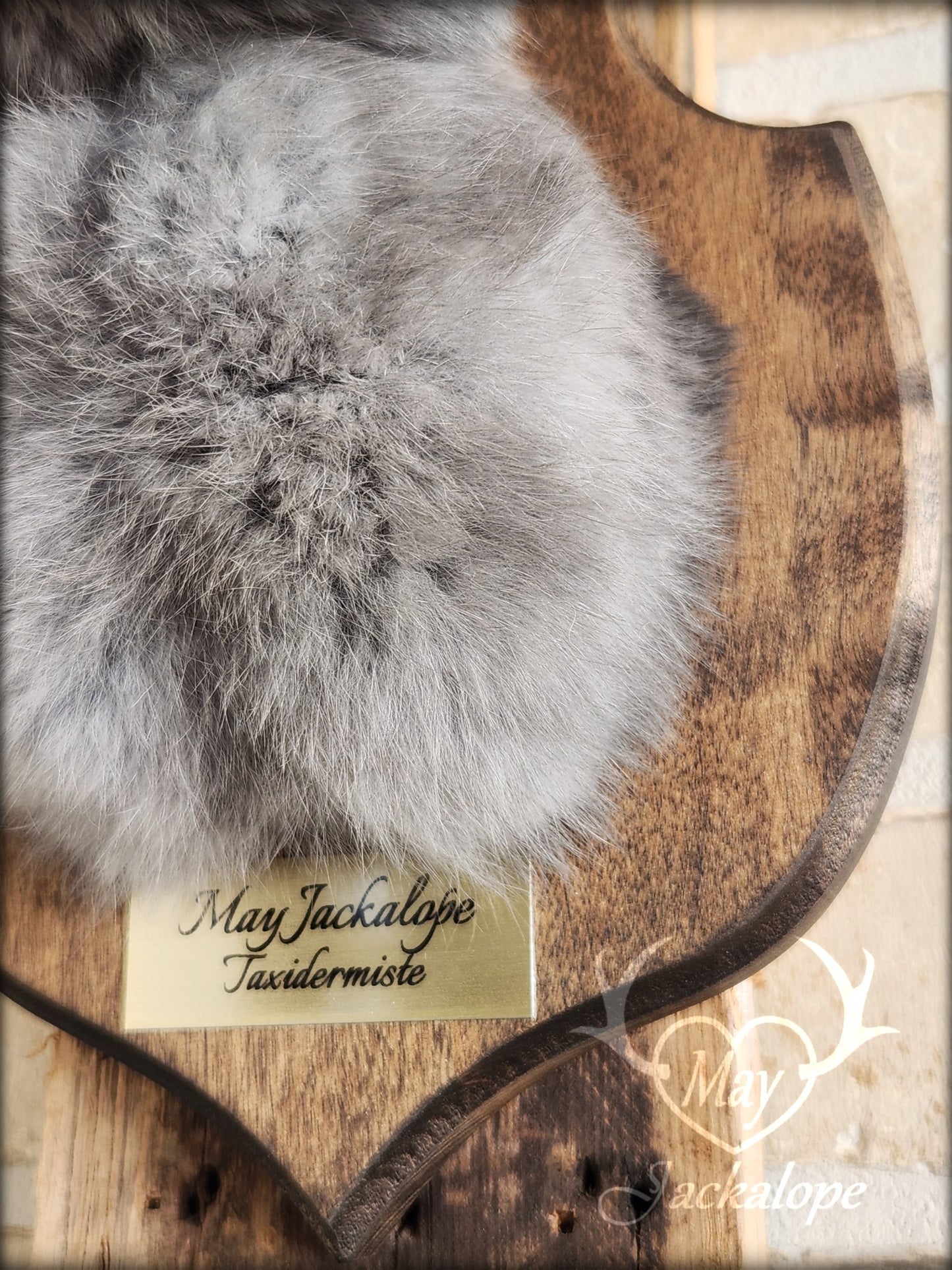 Small blue jackalope taxidermy with brown eyes & real antlers