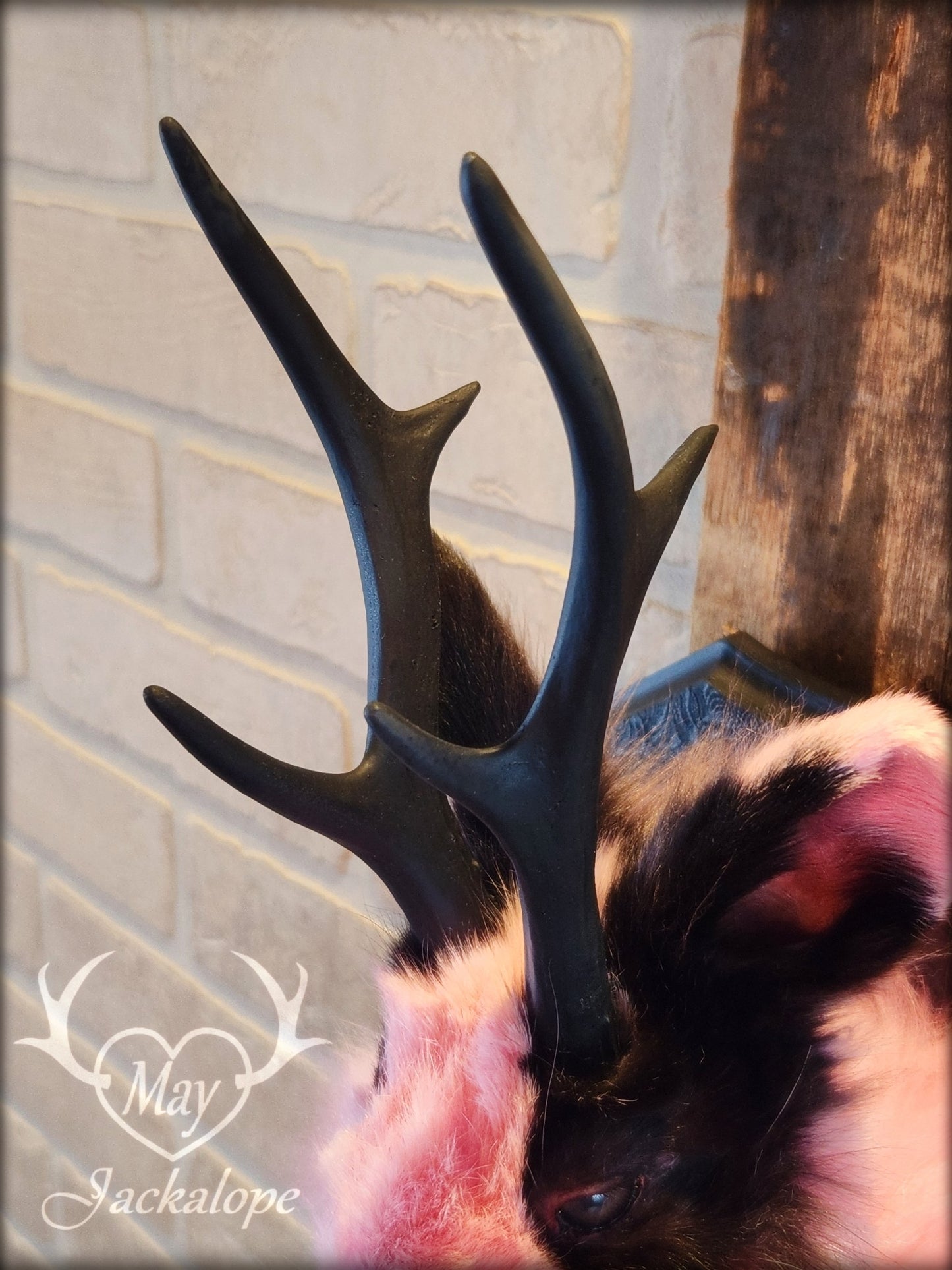 Taxidermie de jackalope rose et noir aux yeux foncé et réplique réaliste de bois