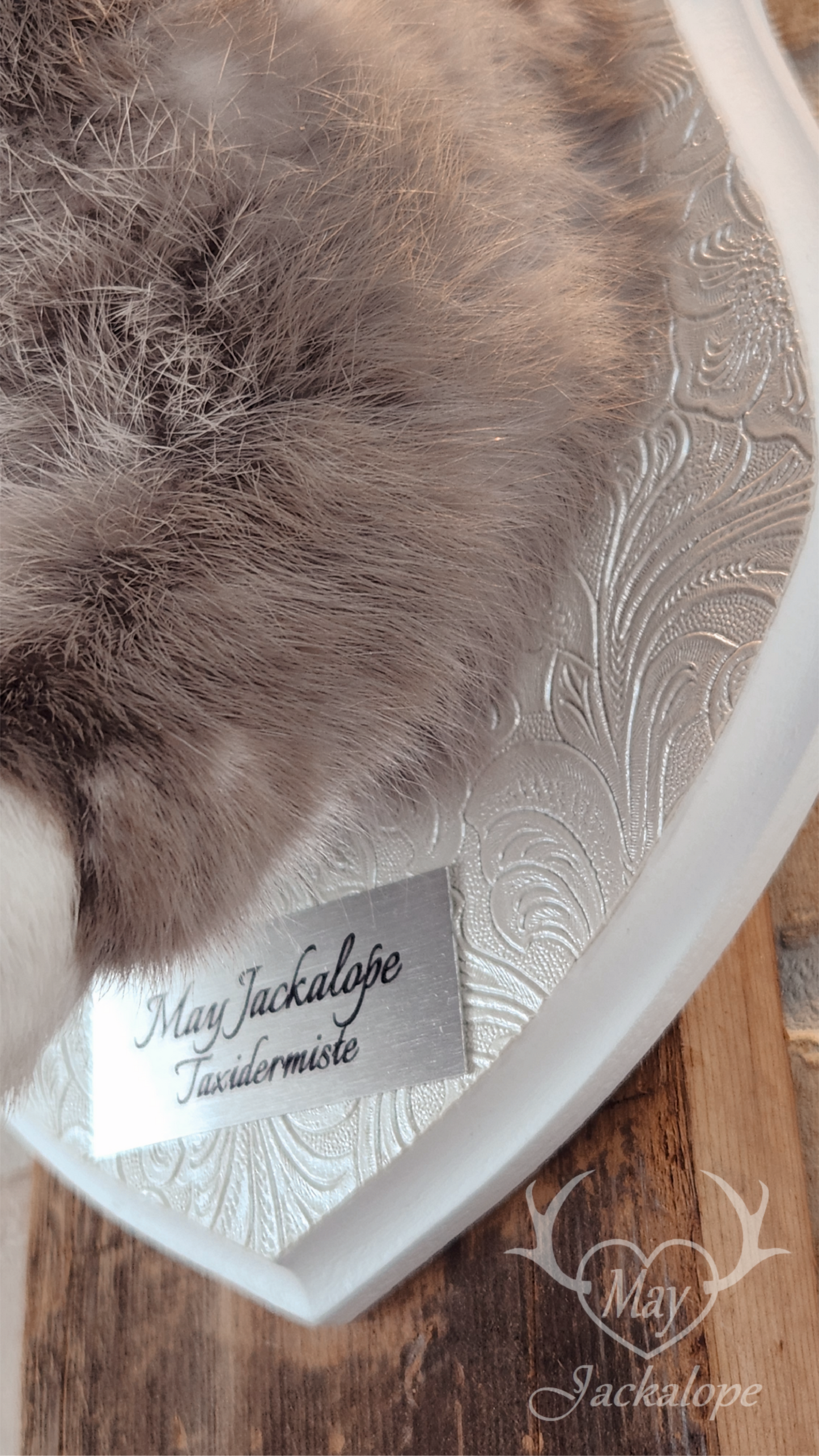 Taxidermie de Jackalope Harlequin ''Lilac Magpie'' aux yeux bleu et vrais bois