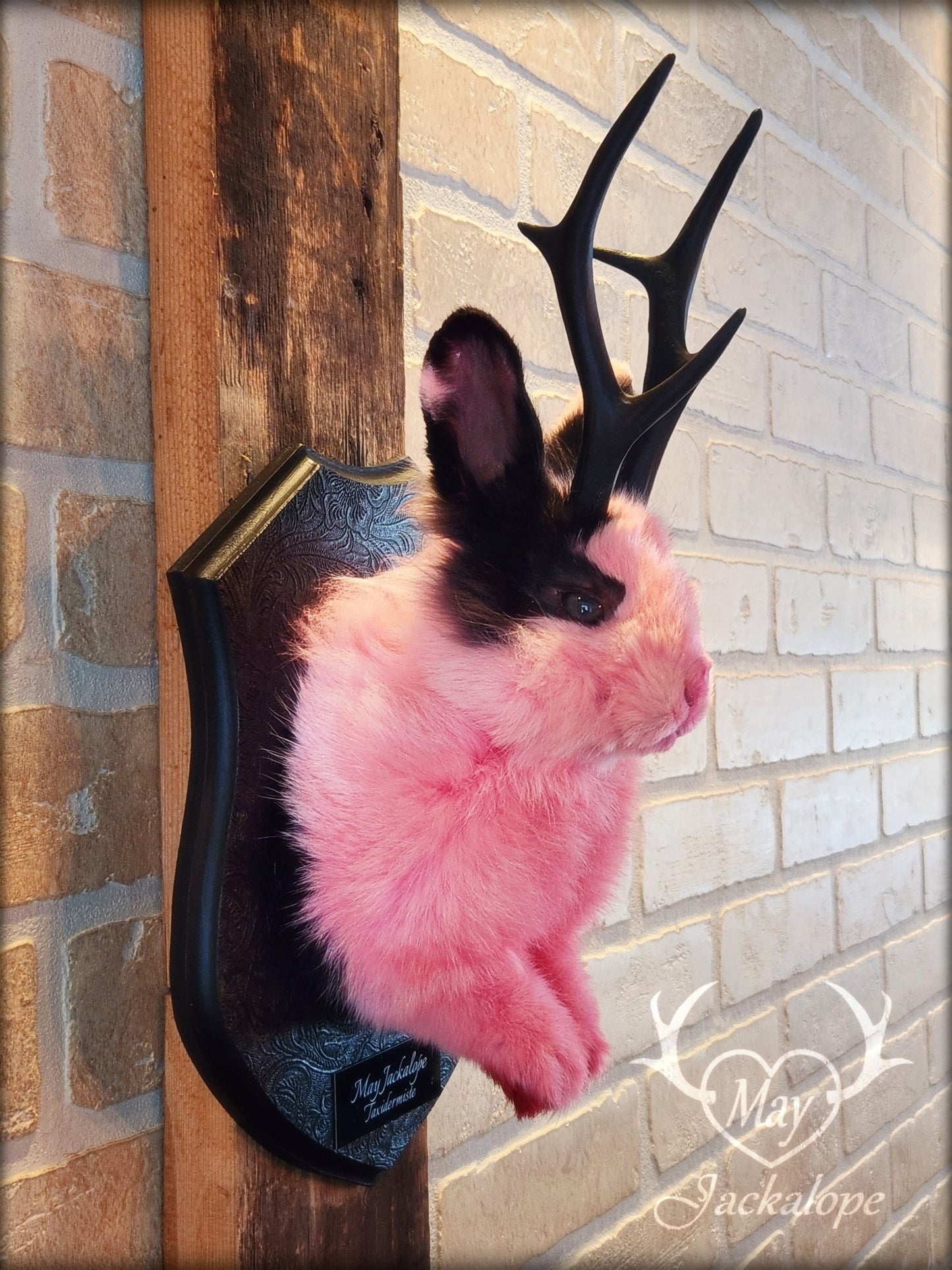 Taxidermie de jackalope rose et noir aux yeux foncé et réplique réaliste de bois