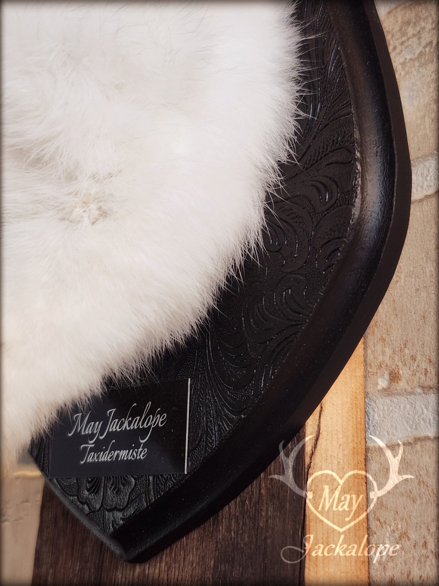 Black & white Jackalope taxidermy with red eyes, fangs & black horns replica