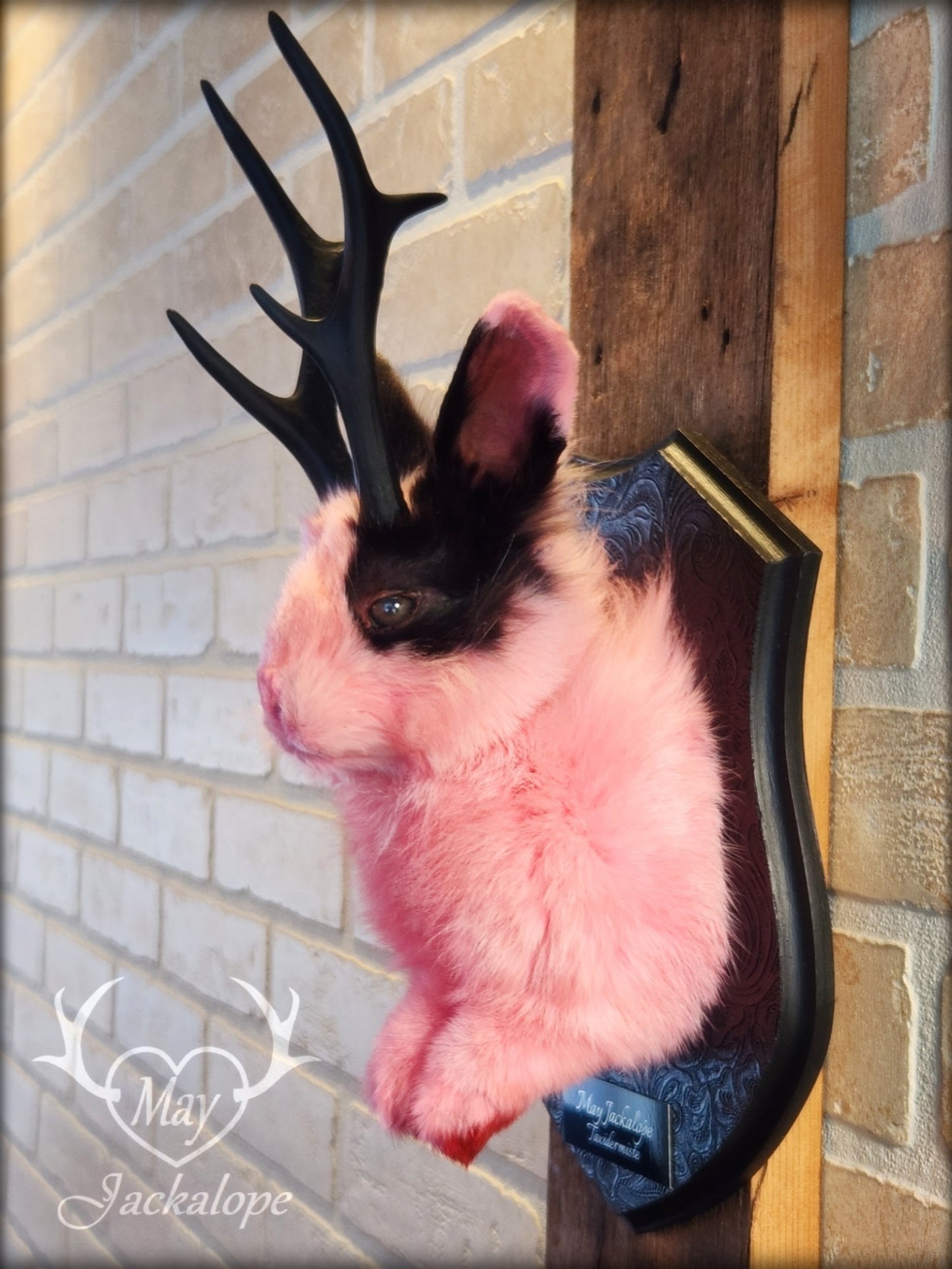 Taxidermie de jackalope rose et noir aux yeux foncé et réplique réaliste de bois