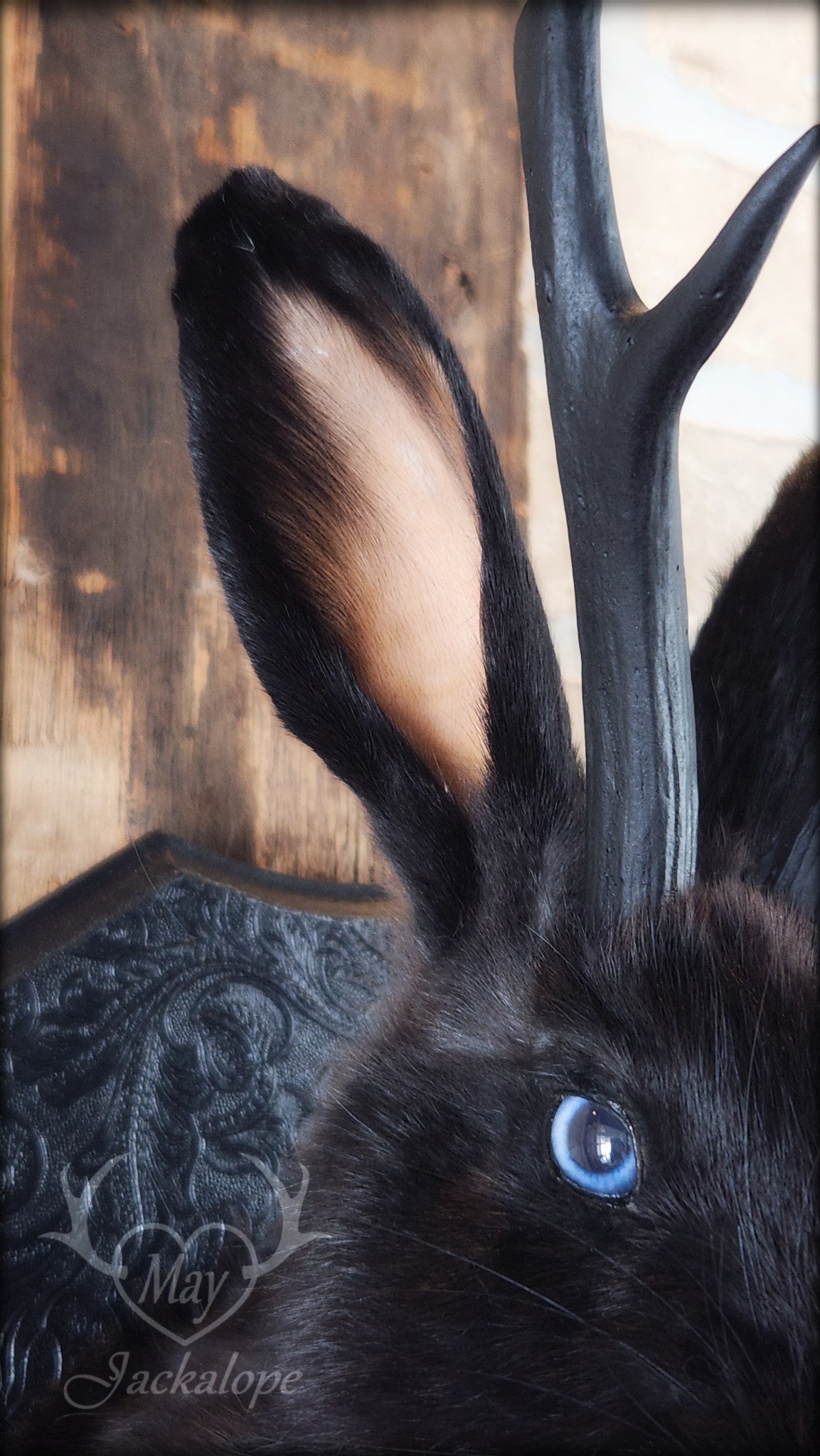 Taxidermie de jackalope noir aux yeux bleu et réplique réaliste de bois