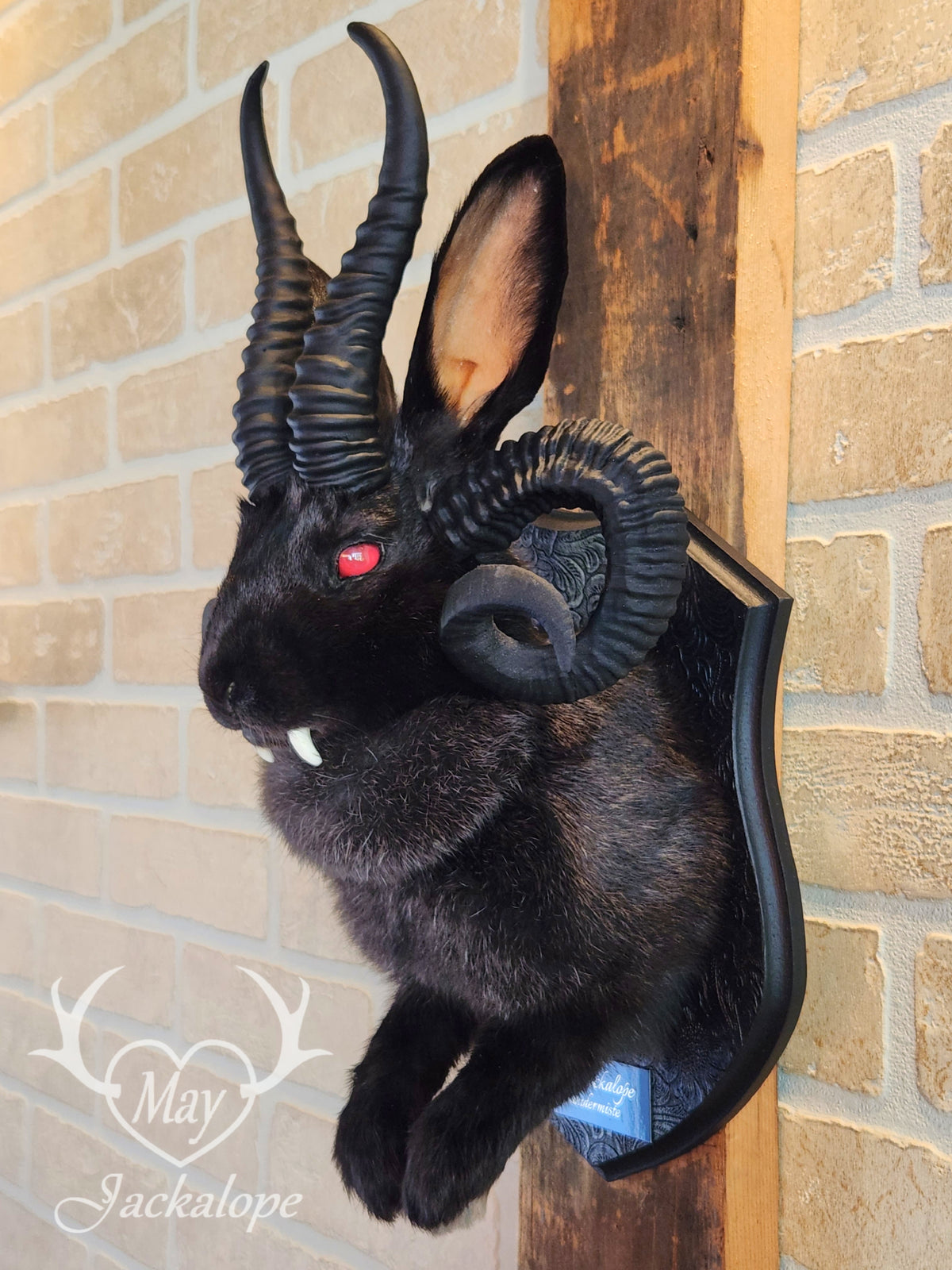 -Baphomet- Black Jackalope taxidermy with deep red eyes, fangs & 4 black horns replica