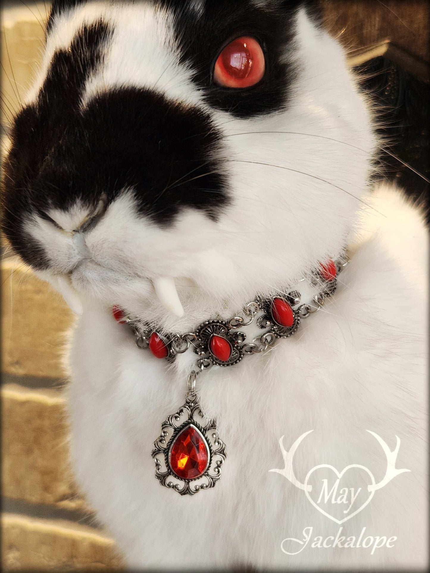 Black & white Jackalope taxidermy with red eyes, fangs & black horns replica