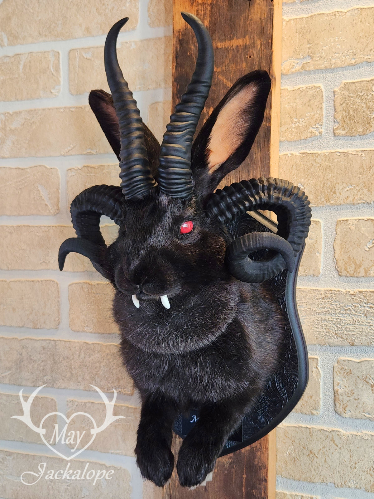 -Baphomet- Black Jackalope taxidermy with deep red eyes, fangs & 4 black horns replica