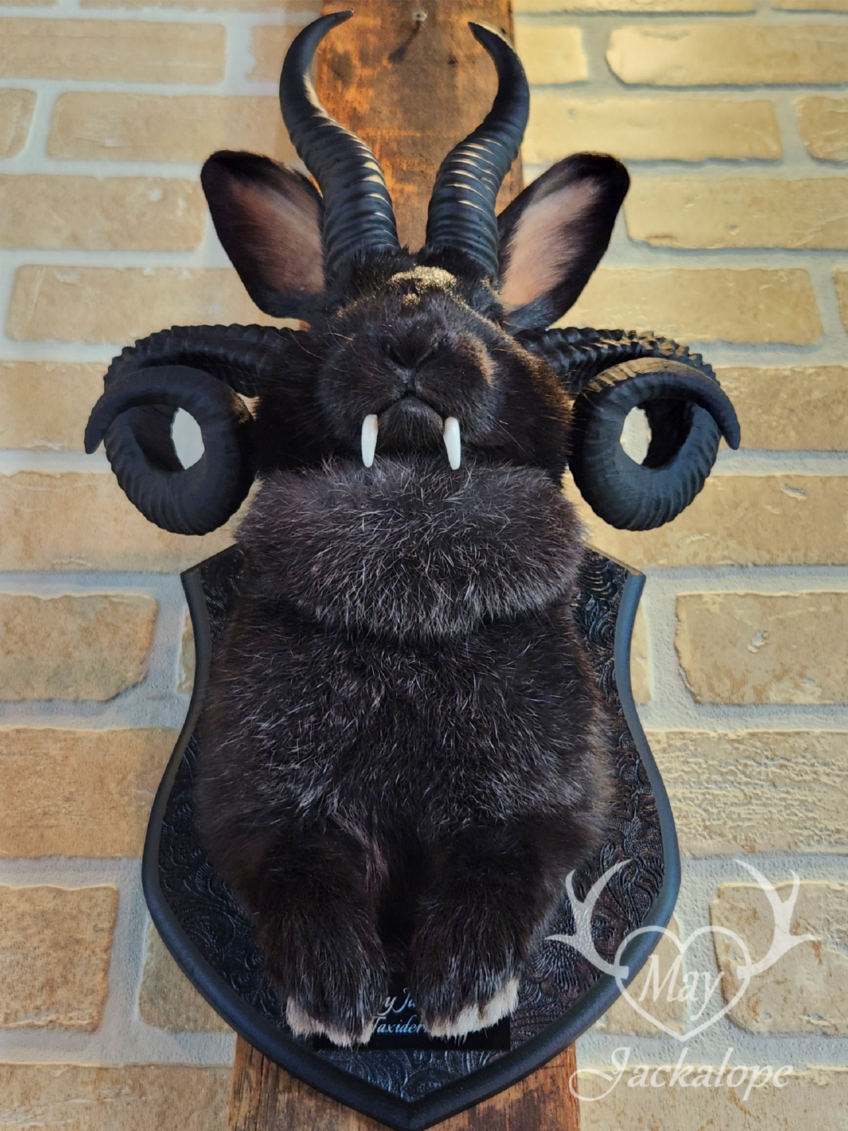 -Baphomet- Black Jackalope taxidermy with deep red eyes, fangs & 4 black horns replica