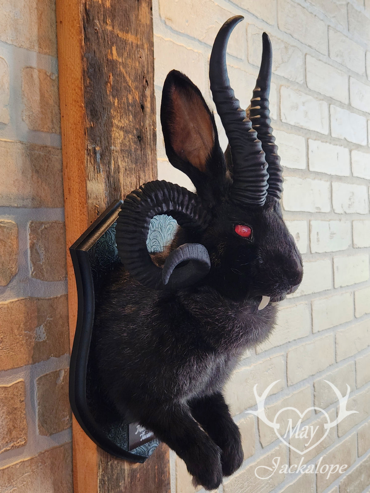 -Baphomet- Black Jackalope taxidermy with deep red eyes, fangs & 4 black horns replica