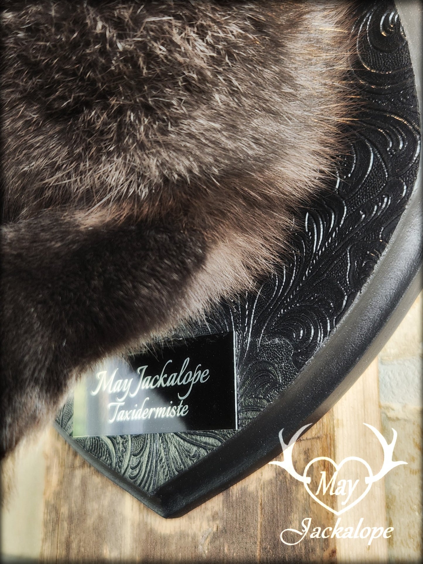 Black Jackalope taxidermy with light blue eyes and horns replica.