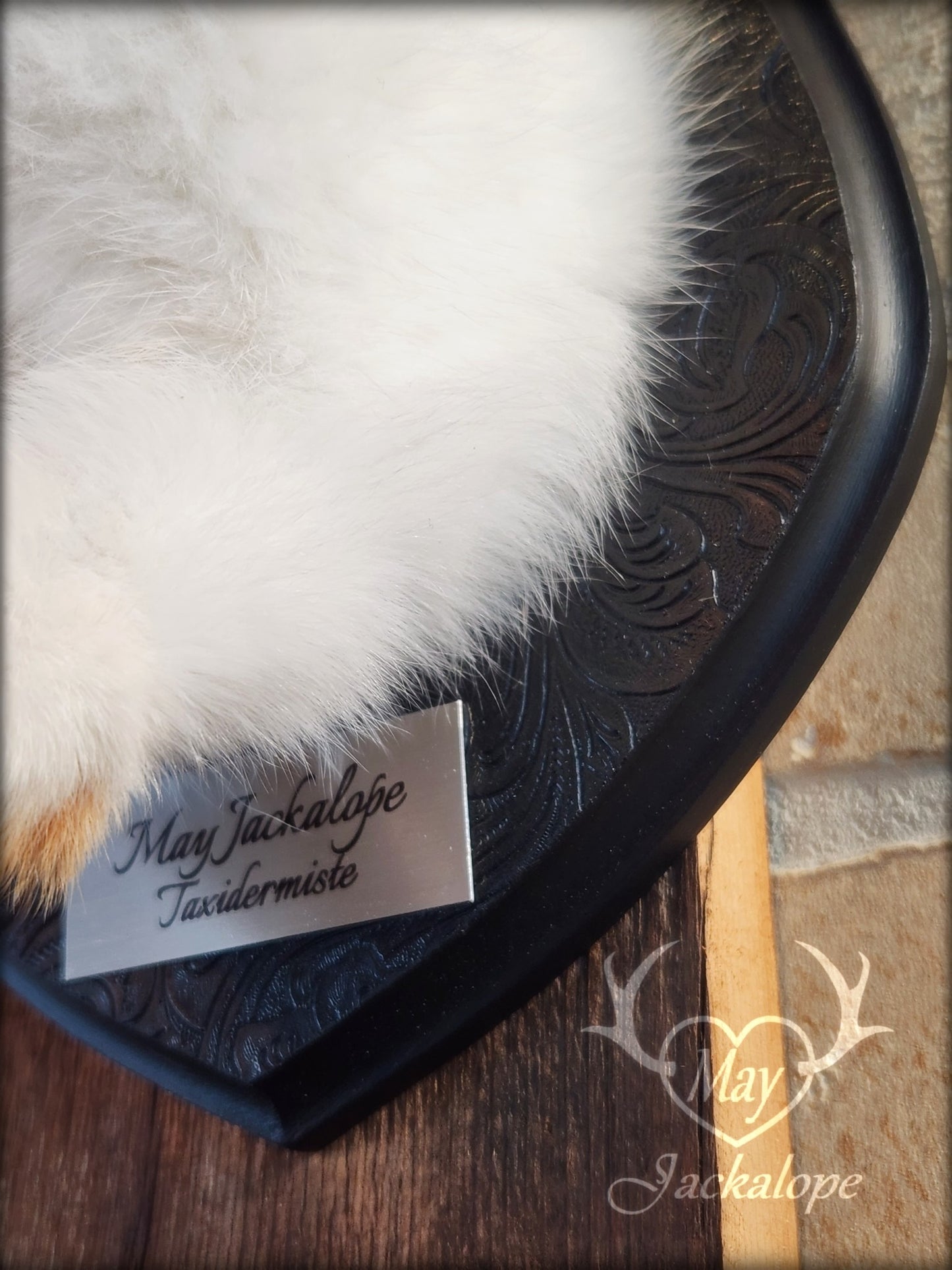 Taxidermie de jackalope noir et blanc poil long aux yeux bleu vif et réplique réaliste de bois