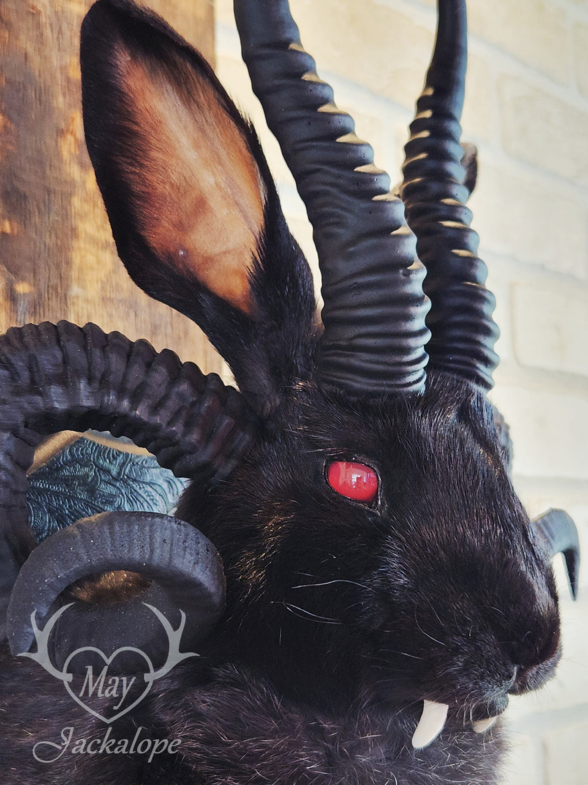 -Baphomet- Black Jackalope taxidermy with deep red eyes, fangs & 4 black horns replica