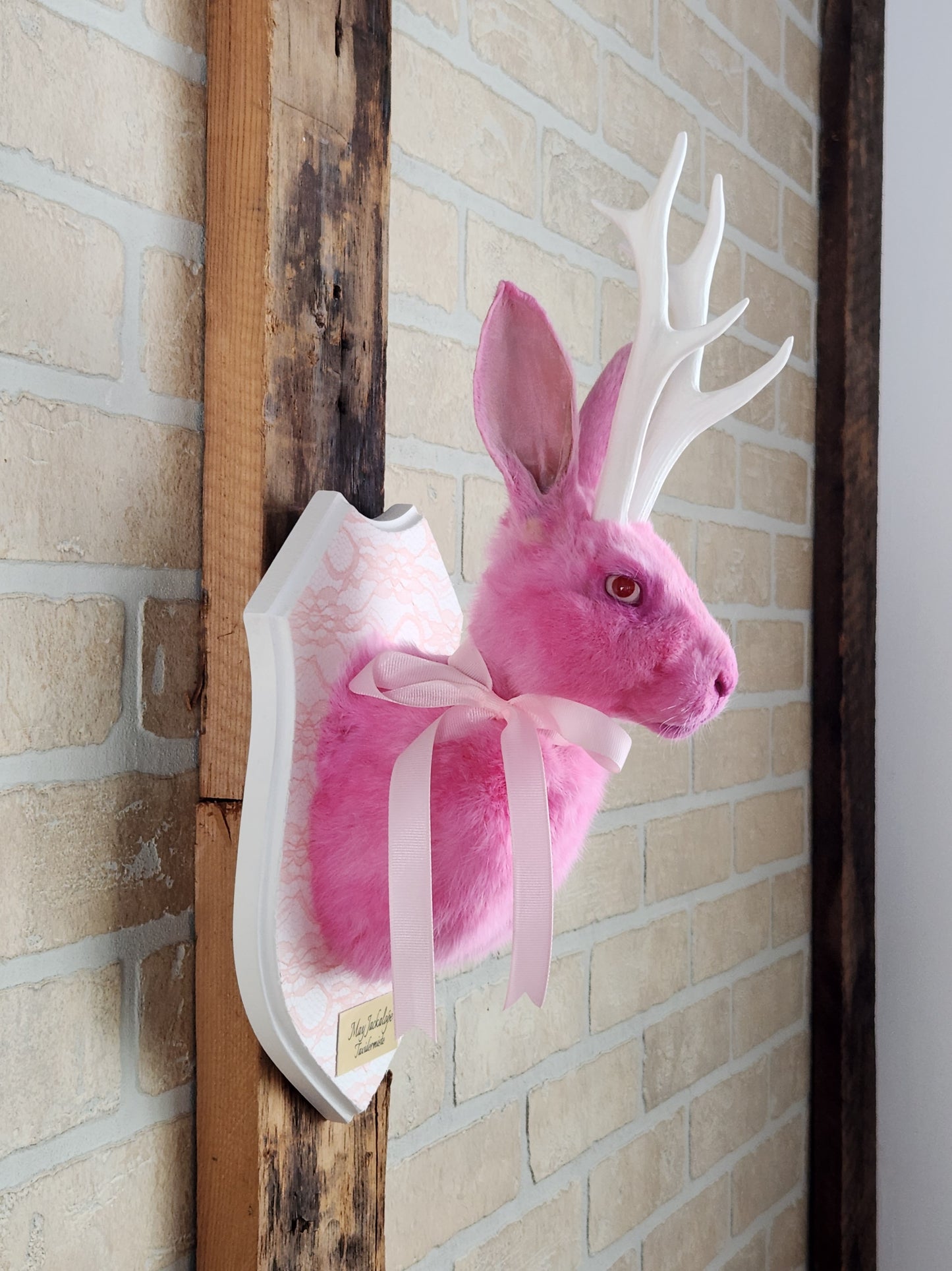 Taxidermie de Jackalope rose avec replique de panache blanc et yeux albino.