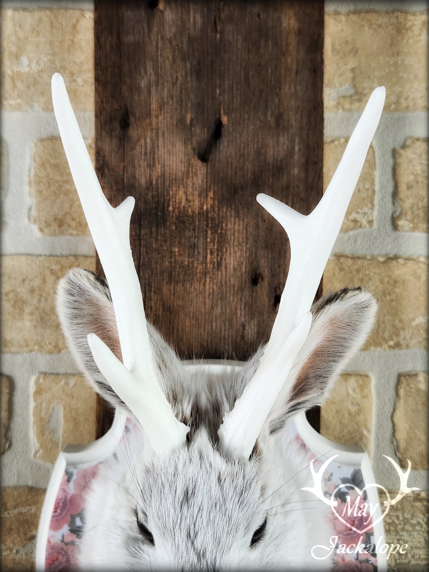 Taxidermie de petit jackalope, lièvre d'Amérique avec panache blancs et plaque décorée de fleurs