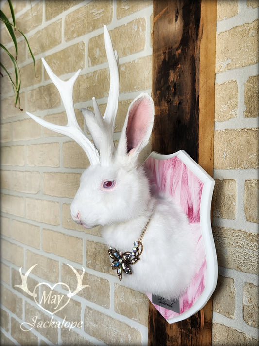 White Jackalope taxidermy with pink albino eyes, white antlers replica & neclace